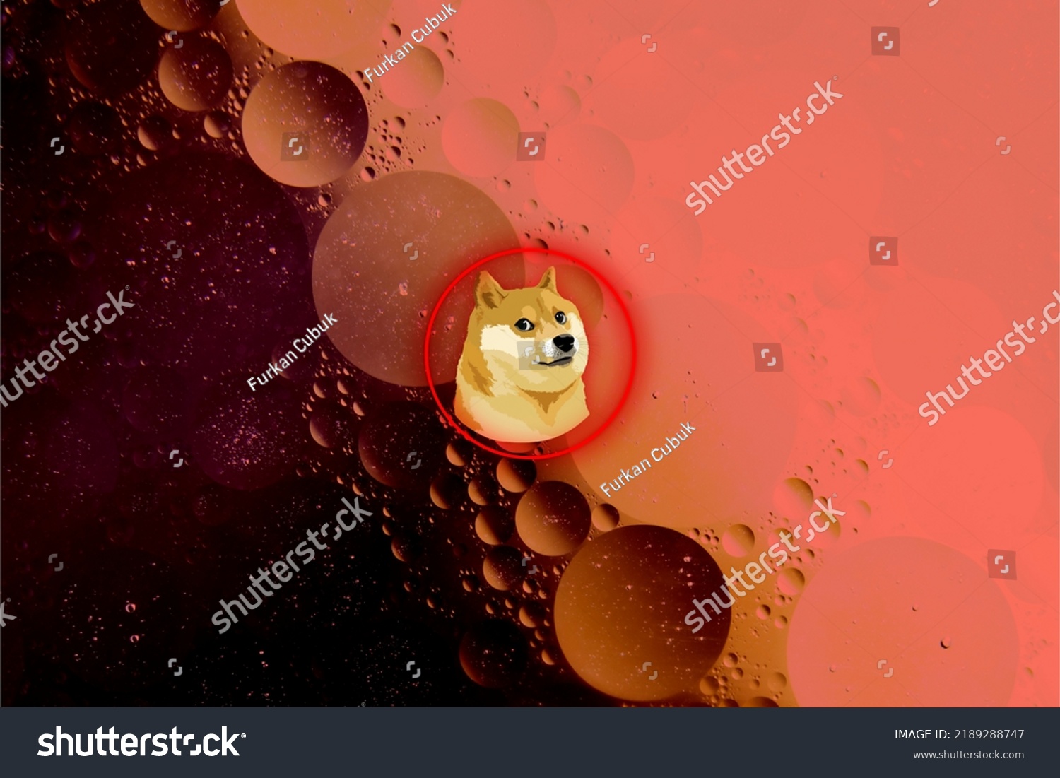 Cá