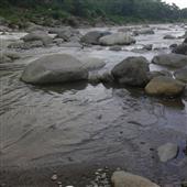 Mứ
