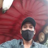 Sứ