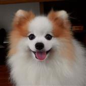 VỪ