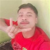 Tò