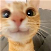 Gr