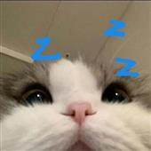 Ng