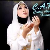 Cu