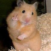 Ví