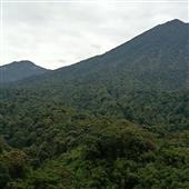Vậ