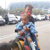 Dự