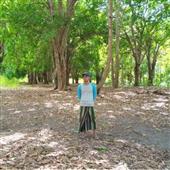 Kế