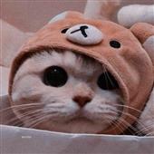 CU
