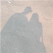 Tr