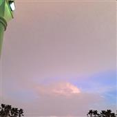Dự