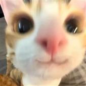 Ph