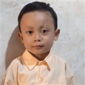 Mạ