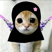 LÔ